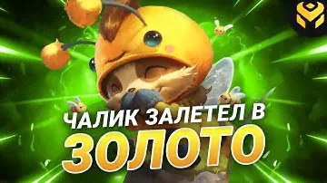 Что если чалик на Тимо зайдет в золото?
